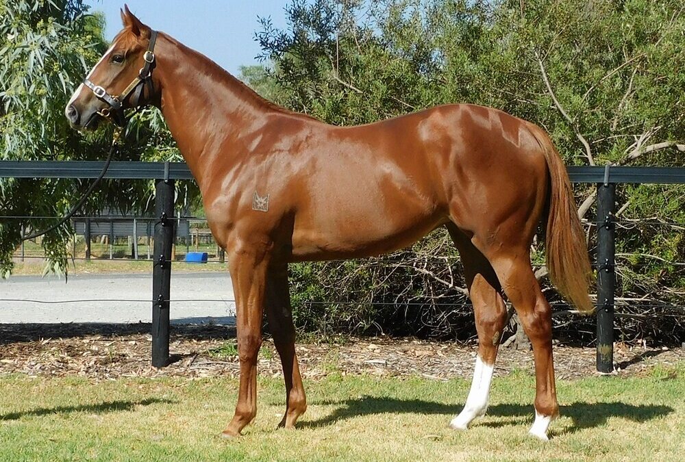 Un-named (Time To Reign – Writ Large)